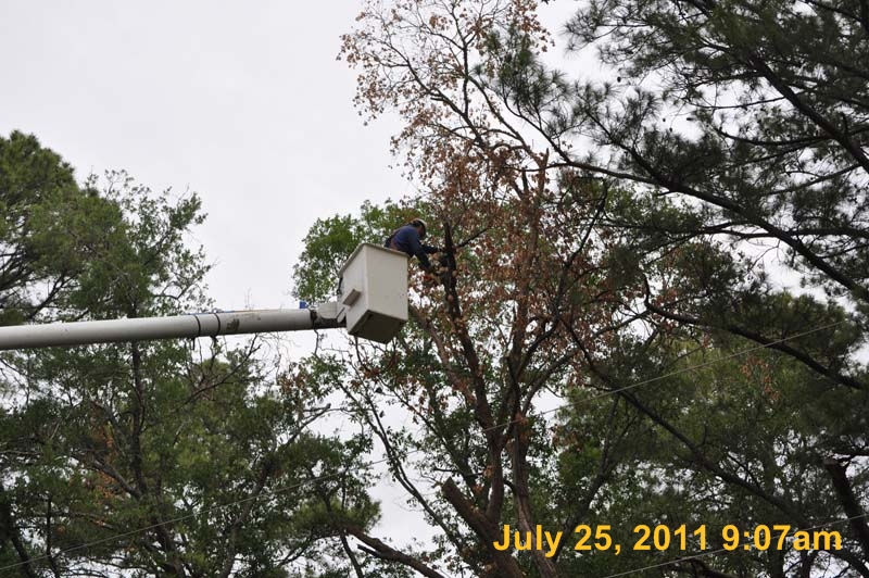 Entergy 035